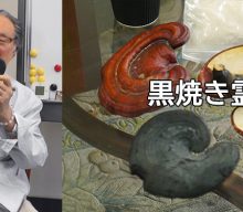 黒焼き霊芝 について