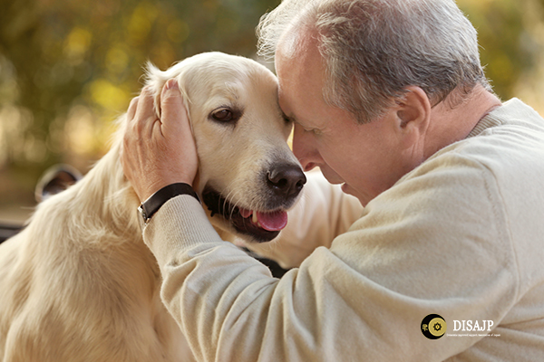 飼い主とペットが共に認知症