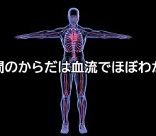人間のからだは血流でほぼわかる